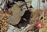 Image of snake charmer Marrakesh Morocco, 1942, second 41 stock footage video 65675050221