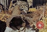 Image of snake charmer Marrakesh Morocco, 1942, second 46 stock footage video 65675050221