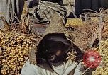 Image of snake charmer Marrakesh Morocco, 1942, second 47 stock footage video 65675050221