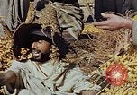 Image of snake charmer Marrakesh Morocco, 1942, second 49 stock footage video 65675050221