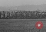 Image of President Roosevelt reviews US forces United States USA, 1942, second 24 stock footage video 65675050255