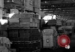 Image of bomber plant United States USA, 1942, second 12 stock footage video 65675050256
