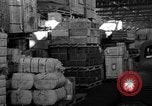 Image of bomber plant United States USA, 1942, second 14 stock footage video 65675050256