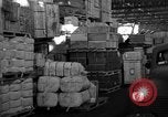 Image of bomber plant United States USA, 1942, second 15 stock footage video 65675050256