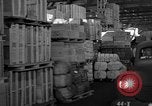 Image of bomber plant United States USA, 1942, second 19 stock footage video 65675050256
