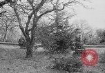 Image Franklin Roosevelt Livadiya Crimée Ukraine, 1945, de la seconde 3 séquences d'archives historiques vidéo 65675050268