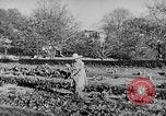 Immagine di Marian Anderson Connecticut USA, 1952, secondo 34 filmato di repertorio 65675050272