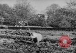 Immagine di Marian Anderson Connecticut USA, 1952, secondo 36 filmato di repertorio 65675050272