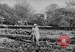 Immagine di Marian Anderson Connecticut USA, 1952, secondo 37 filmato di repertorio 65675050272