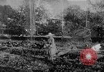 Immagine di Marian Anderson Connecticut USA, 1952, secondo 38 filmato di repertorio 65675050272
