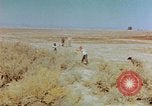 Standbild relocation Centers United States USA, 1942, aus Sekunde 29 historischem Filmmaterial Videoclip 65675050274
