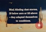 Immagine di Japanese-Americans United States USA, 1942, secondo 3 filmato di repertorio 65675050275
