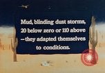 Immagine di Japanese-Americans United States USA, 1942, secondo 5 filmato di repertorio 65675050275