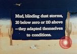 Immagine di Japanese-Americans United States USA, 1942, secondo 8 filmato di repertorio 65675050275