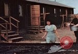 Immagine di Japanese-Americans United States USA, 1942, secondo 59 filmato di repertorio 65675050275