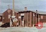 Image of relocation center United States USA, 1942, second 16 stock footage video 65675050276