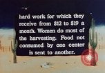 Standbild landwirtschaftlichen Tätigkeiten United States USA, 1942, aus Sekunde 17 historischem Filmmaterial Videoclip 65675050277