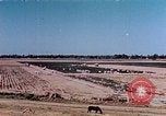 Standbild landwirtschaftlichen Tätigkeiten United States USA, 1942, aus Sekunde 19 historischem Filmmaterial Videoclip 65675050277