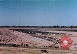 Standbild landwirtschaftlichen Tätigkeiten United States USA, 1942, aus Sekunde 20 historischem Filmmaterial Videoclip 65675050277