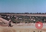 Standbild landwirtschaftlichen Tätigkeiten United States USA, 1942, aus Sekunde 23 historischem Filmmaterial Videoclip 65675050277