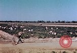 Standbild landwirtschaftlichen Tätigkeiten United States USA, 1942, aus Sekunde 24 historischem Filmmaterial Videoclip 65675050277