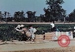 Standbild landwirtschaftlichen Tätigkeiten United States USA, 1942, aus Sekunde 26 historischem Filmmaterial Videoclip 65675050277
