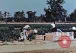 Standbild landwirtschaftlichen Tätigkeiten United States USA, 1942, aus Sekunde 27 historischem Filmmaterial Videoclip 65675050277