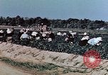 Standbild landwirtschaftlichen Tätigkeiten United States USA, 1942, aus Sekunde 29 historischem Filmmaterial Videoclip 65675050277