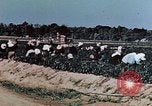 Standbild landwirtschaftlichen Tätigkeiten United States USA, 1942, aus Sekunde 30 historischem Filmmaterial Videoclip 65675050277