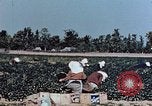 Standbild landwirtschaftlichen Tätigkeiten United States USA, 1942, aus Sekunde 54 historischem Filmmaterial Videoclip 65675050277