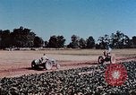 Standbild landwirtschaftlichen Tätigkeiten United States USA, 1942, aus Sekunde 61 historischem Filmmaterial Videoclip 65675050277