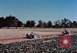 Standbild landwirtschaftlichen Tätigkeiten United States USA, 1942, aus Sekunde 62 historischem Filmmaterial Videoclip 65675050277