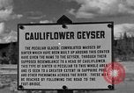 Standbild Blumenkohl Geysir Wyoming United States USA, 1936, aus Sekunde 1 historischem Filmmaterial Videoclip 65675050283