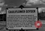 Standbild Blumenkohl Geysir Wyoming United States USA, 1936, aus Sekunde 3 historischem Filmmaterial Videoclip 65675050283