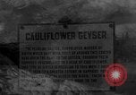 Standbild Blumenkohl Geysir Wyoming United States USA, 1936, aus Sekunde 5 historischem Filmmaterial Videoclip 65675050283