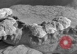 Standbild Blumenkohl Geysir Wyoming United States USA, 1936, aus Sekunde 21 historischem Filmmaterial Videoclip 65675050283