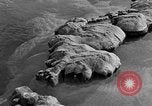 Standbild Blumenkohl Geysir Wyoming United States USA, 1936, aus Sekunde 27 historischem Filmmaterial Videoclip 65675050283