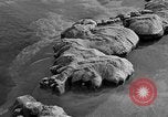 Standbild Blumenkohl Geysir Wyoming United States USA, 1936, aus Sekunde 28 historischem Filmmaterial Videoclip 65675050283