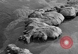 Standbild Blumenkohl Geysir Wyoming United States USA, 1936, aus Sekunde 29 historischem Filmmaterial Videoclip 65675050283