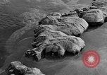 Standbild Blumenkohl Geysir Wyoming United States USA, 1936, aus Sekunde 30 historischem Filmmaterial Videoclip 65675050283