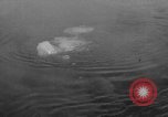 Standbild Sapphire Pool Wyoming United States USA, 1936, aus Sekunde 6 historischem Filmmaterial Videoclip 65675050284