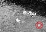 Standbild Swimmingpool Wyoming United States USA, 1936, aus Sekunde 27 historischem Filmmaterial Videoclip 65675050290