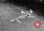 Standbild Swimmingpool Wyoming United States USA, 1936, aus Sekunde 30 historischem Filmmaterial Videoclip 65675050290