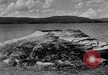 Image of Fishing Cone Wyoming United States USA, 1936, second 5 stock footage video 65675050292