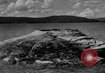 Image of Fishing Cone Wyoming United States USA, 1936, second 6 stock footage video 65675050292