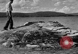 Image of Fishing Cone Wyoming United States USA, 1936, second 11 stock footage video 65675050292