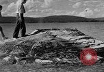 Image of Fishing Cone Wyoming United States USA, 1936, second 12 stock footage video 65675050292