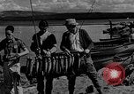 Image of tourists and wildlife Wyoming United States USA, 1936, second 1 stock footage video 65675050294