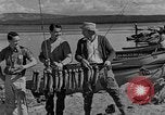 Image of tourists and wildlife Wyoming United States USA, 1936, second 6 stock footage video 65675050294