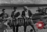 Image of tourists and wildlife Wyoming United States USA, 1936, second 7 stock footage video 65675050294